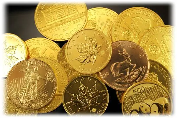 Gold IRA investing guide